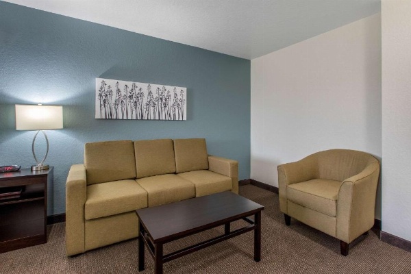 Sleep Inn & Suites Ankeny - Des Moines image 28